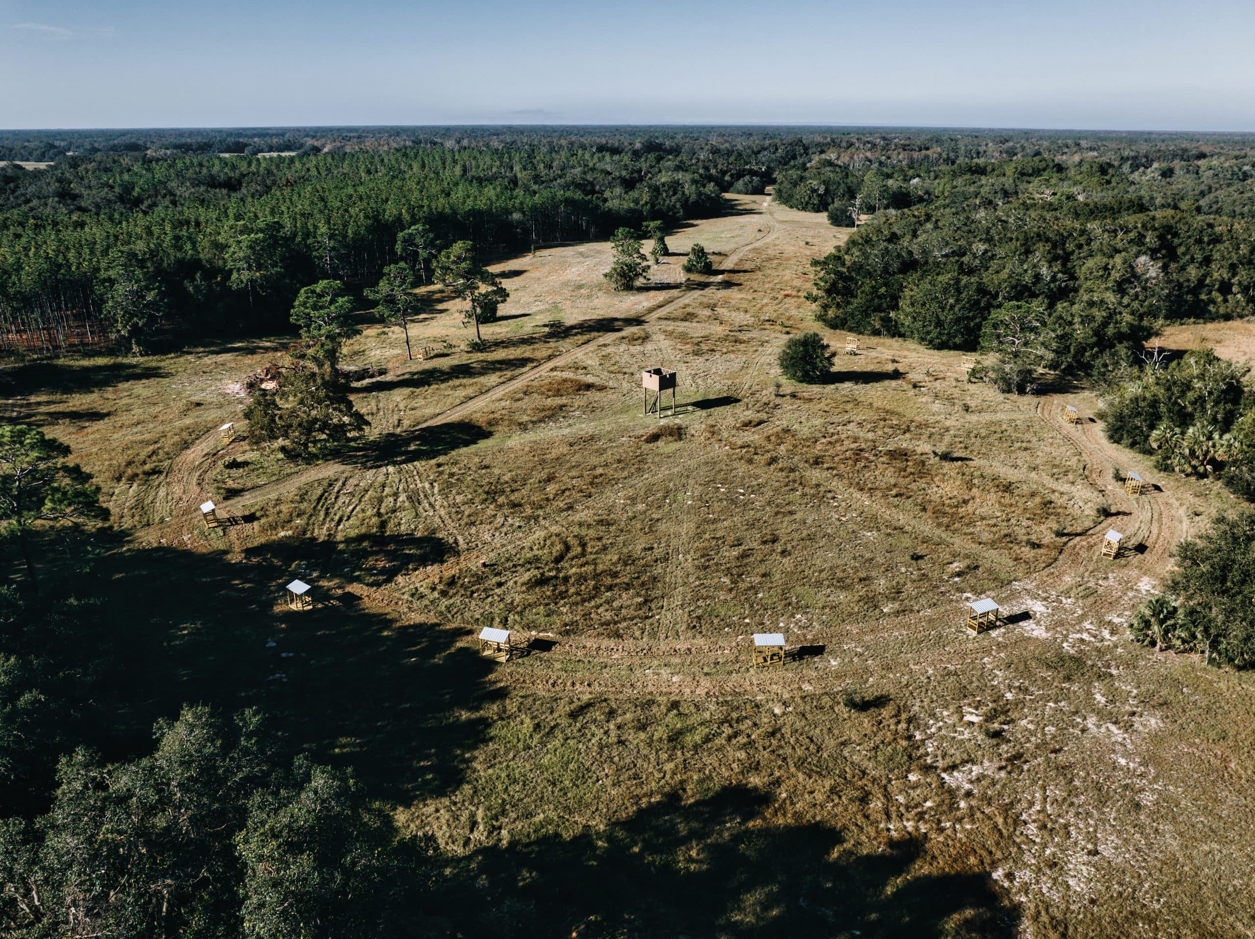 Pheasant Tower Shooting