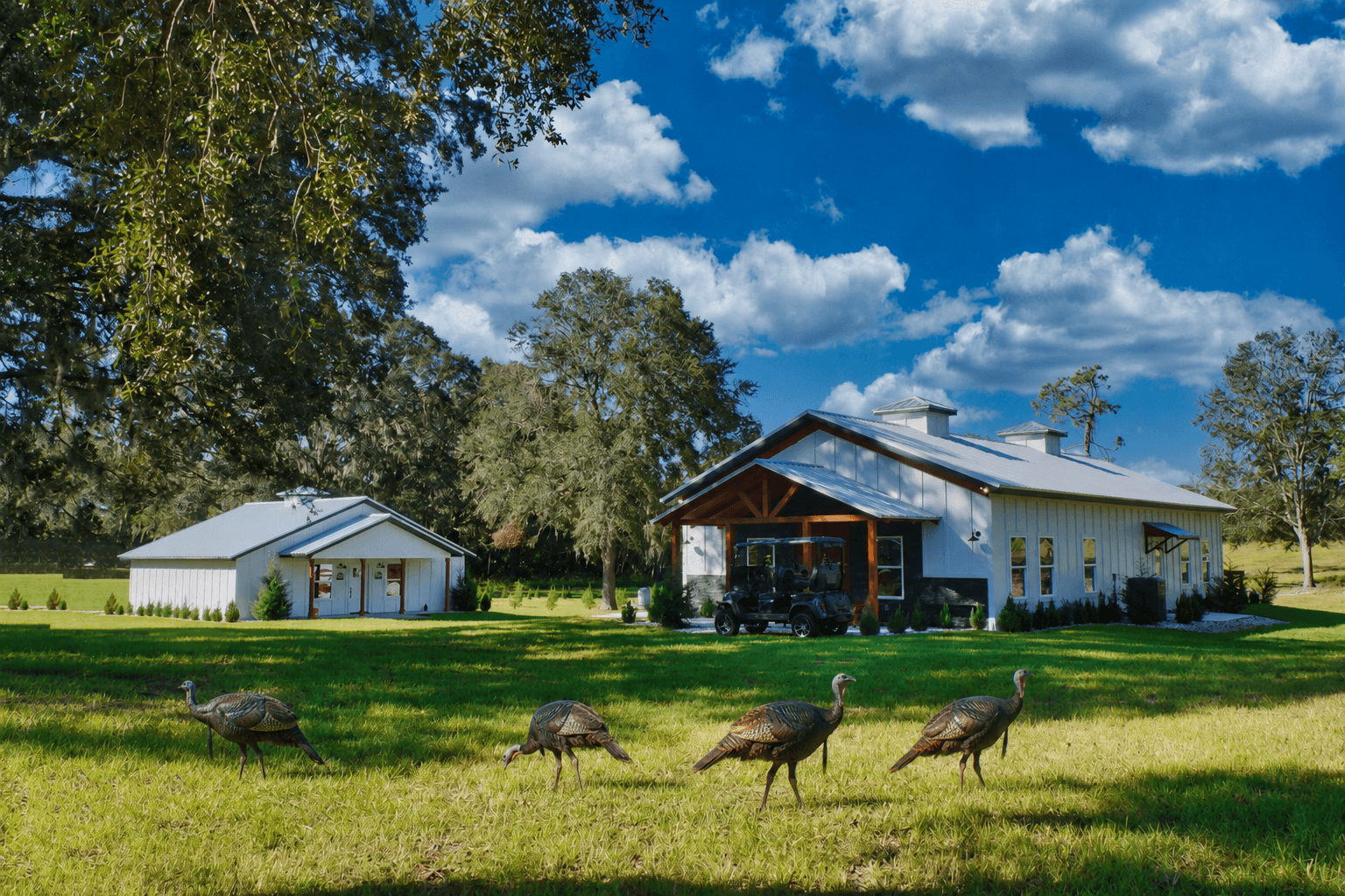 Turkey Hunting at Lilsa Lodge
